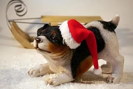 Frohe-Weihnachten Frohe-Weihnachten