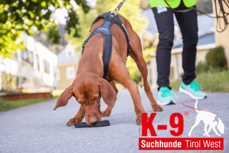 Suchhunde-Tirol-West